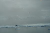 
DSC00023